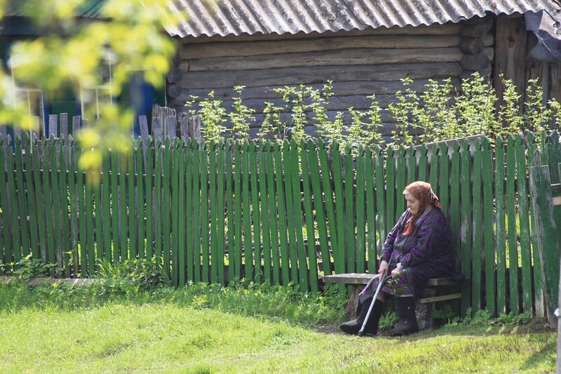 Яндекс. Картинки