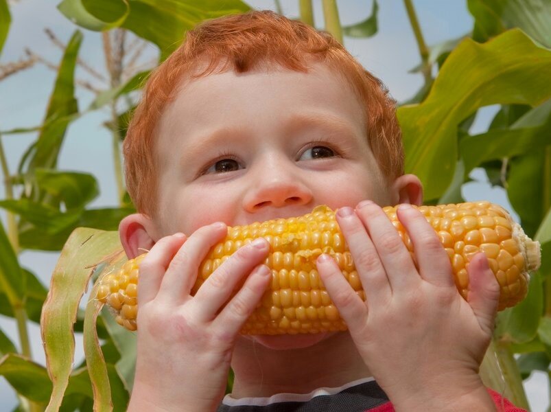 Фото с сайта https://mel.fm/