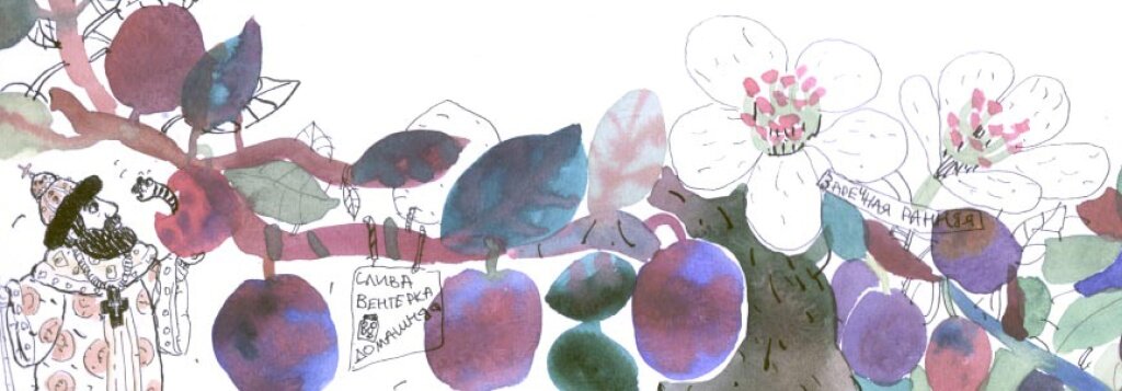 
Иллюстрация Елены Станиковой