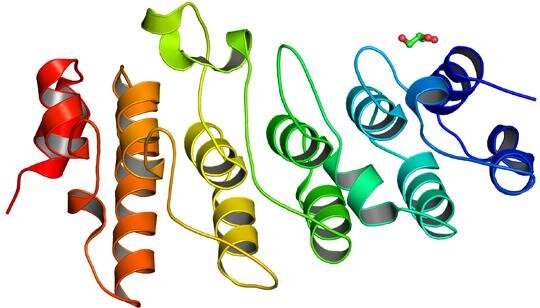 Патология ВНЧС