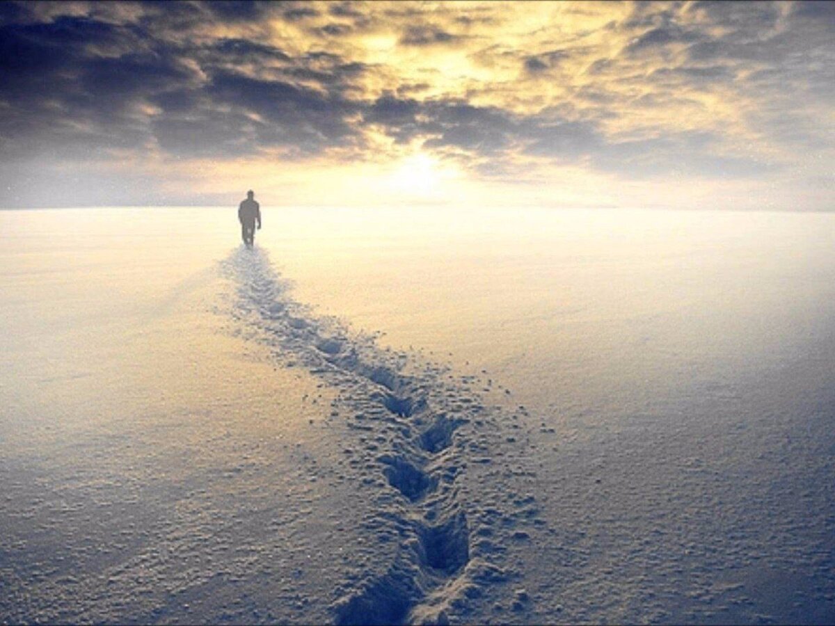 Изображение из свободного доступа