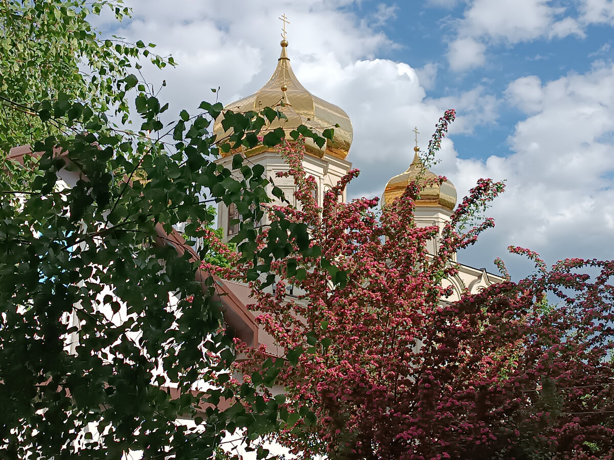 фото автора. 