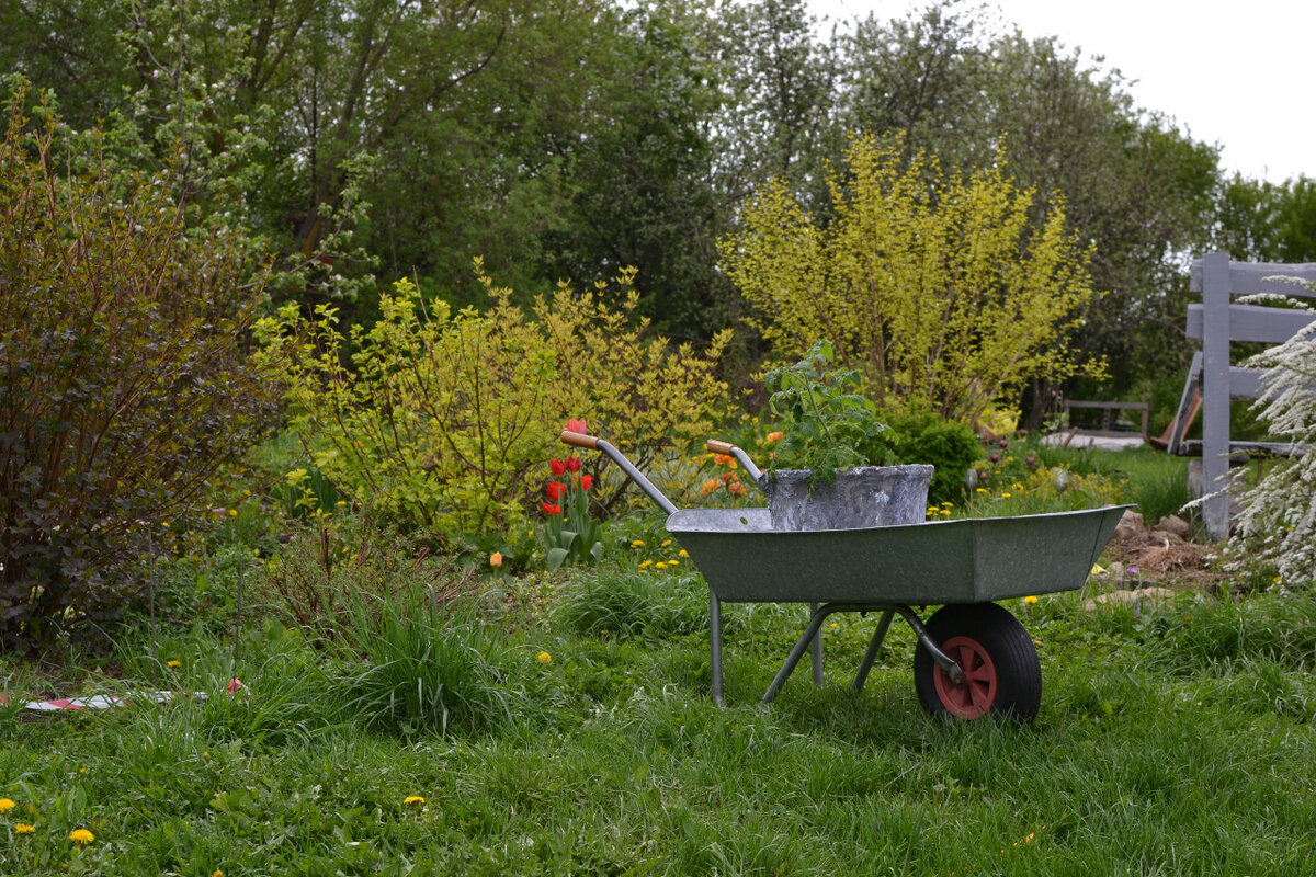 Переезжают 