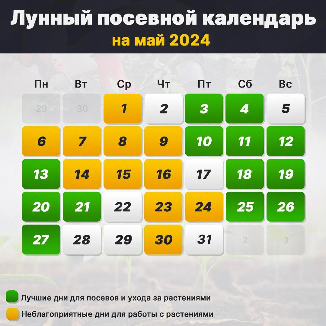 Посевной календарь 2024 ростовской области