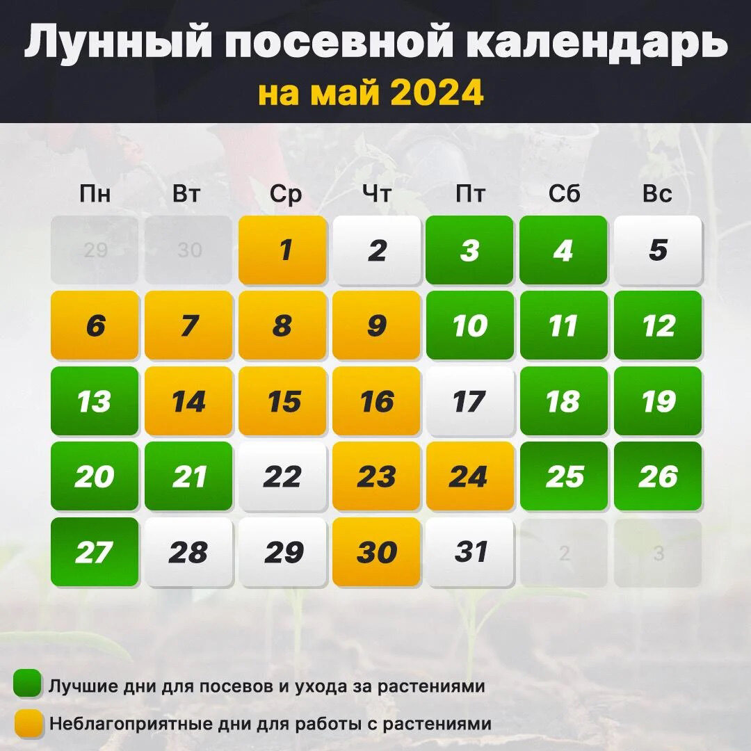 Календарь 2025 посева рассады томатов март. Календарь 2025 посева рассады томатов март