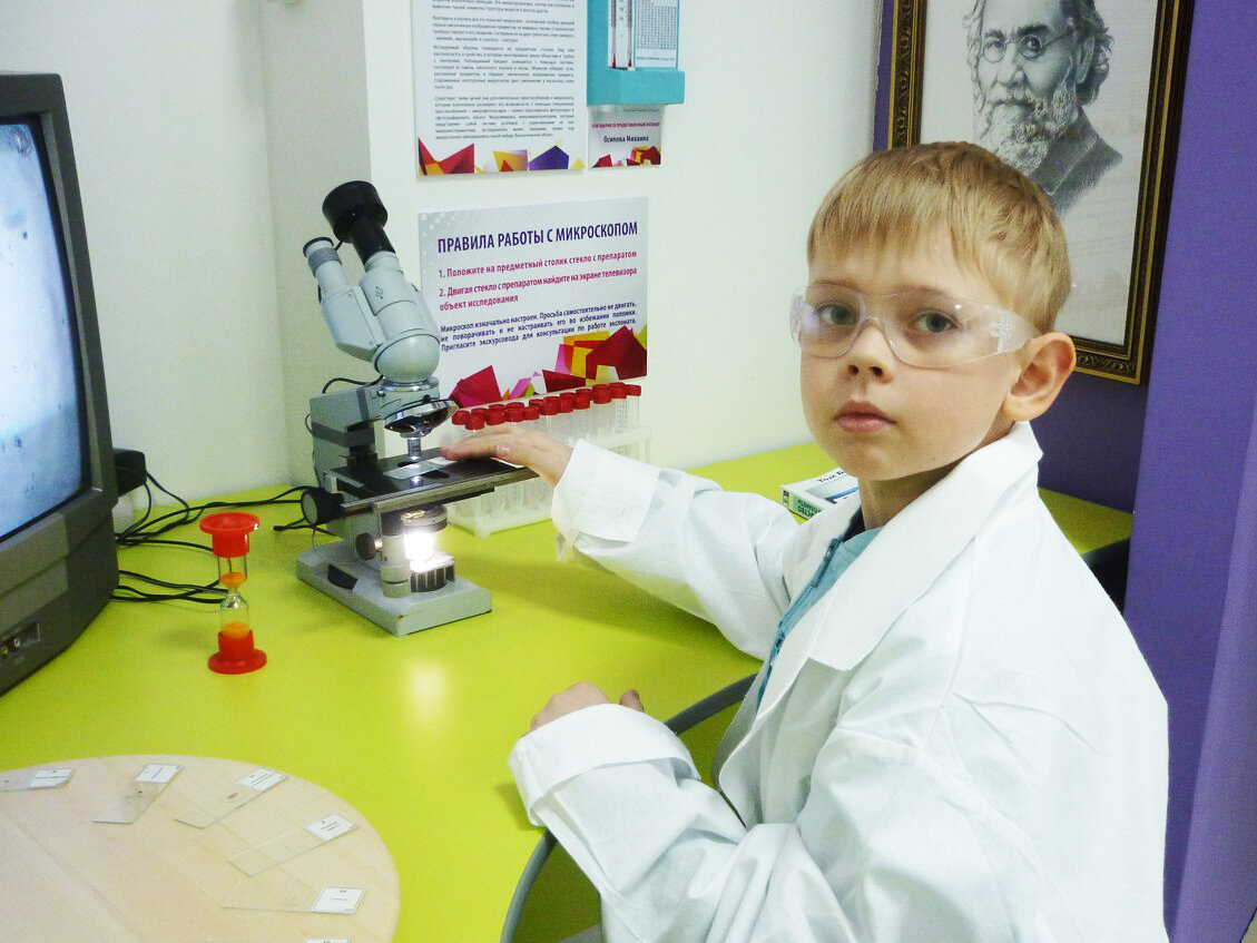 Зона микролаборатории. Изучаем строение клеток.