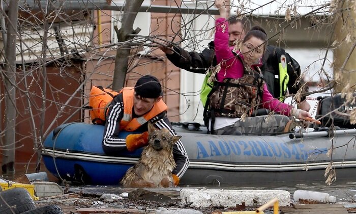    Проверку на милосердие россияне прошли успешно