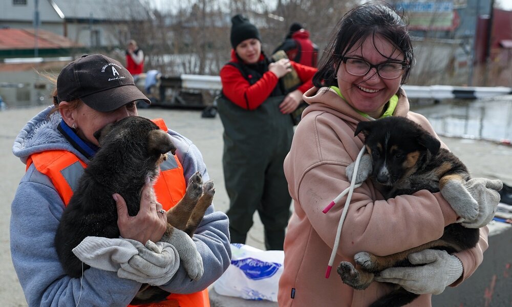    Проверку на милосердие россияне прошли успешно