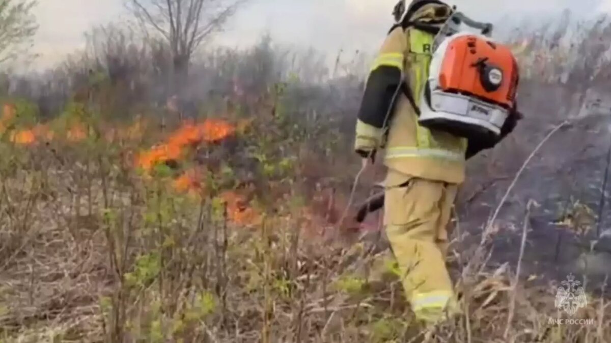     Источник: Пресс-служба Главного управления МЧС по Удмуртской Республике