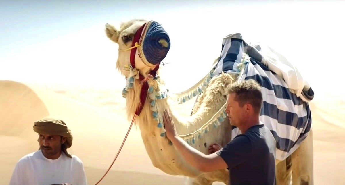 - Герр Швайгер, вы откуда? - А сам-то как думаешь? 