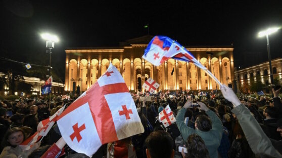    На акции протеста в Тбилиси задержали бывшего министра Егор Гордеев