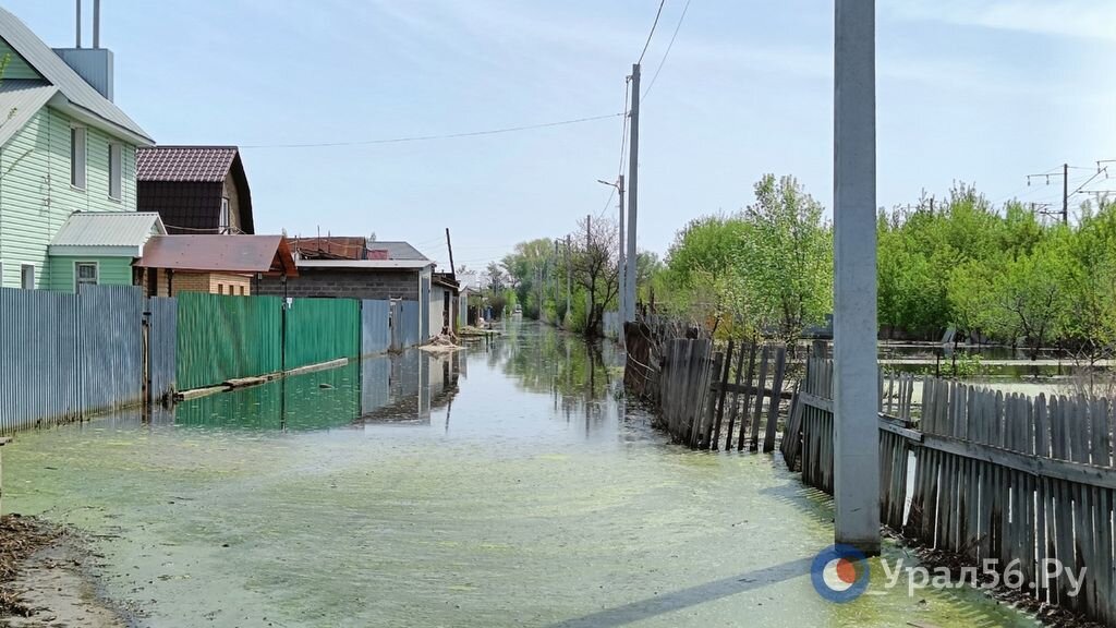    Урал в Оренбурге за сутки опустился на 16 см. Актуальные данные об уровнях рек