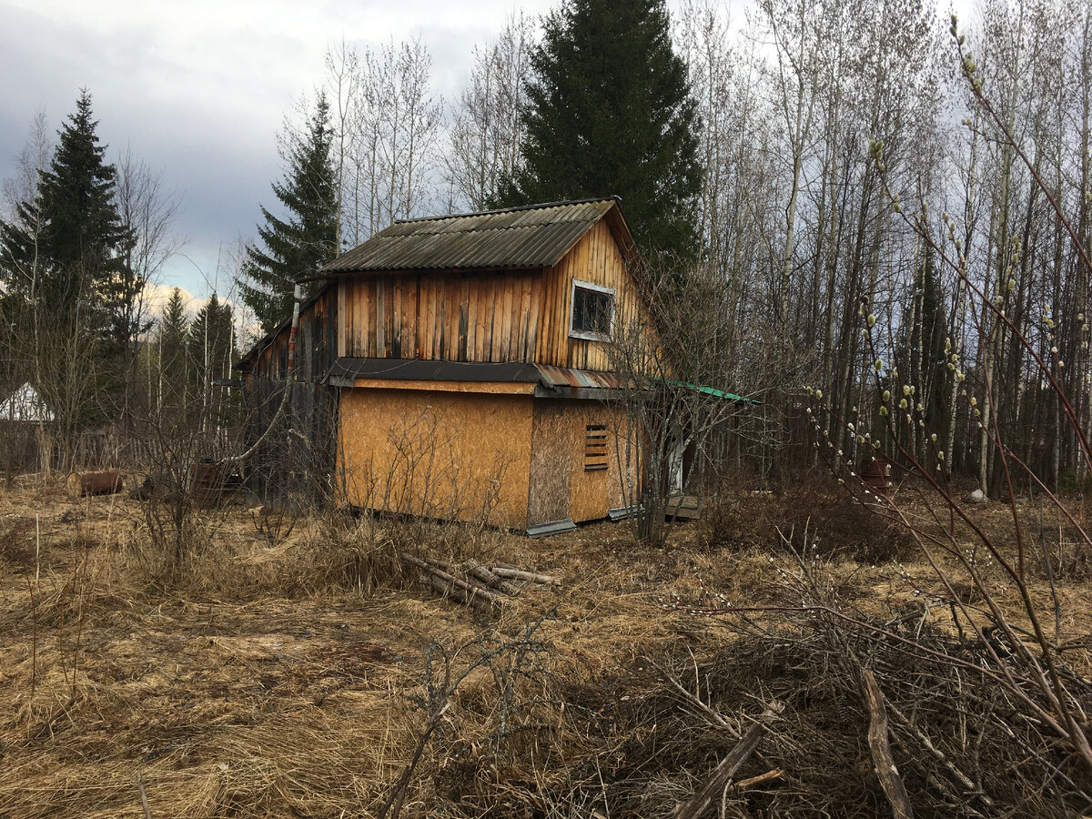 Вид на дом с бывшего огорода, рядом с кучей сена и веток.