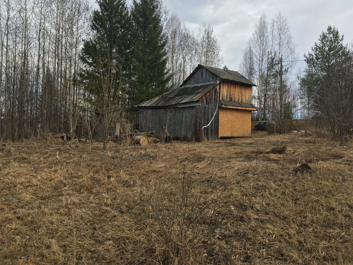 Вид сзади на дом и лес.