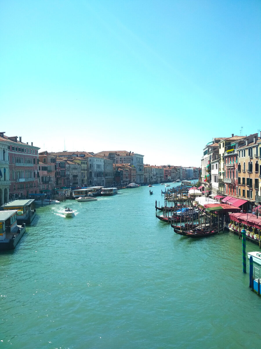 Университет IUAV (Istituto Universitario di Architettura di Venezia) был основан в начале XX века как одна из первых архитектурных школ в Италии, и сейчас является признанным учебным заведением в области архитектуры, городского планирования и дизайна. Университет небольшой, специализированный. Обратите внимание на маленькие квоты для иностранцев, которым требуется виза, и значительные количества мест для итальянцев, абитуриентов из ЕС и приравненных лиц (читай - в том числе с иностранным образованием, уже проживающих в Италии по учебному мотиву). Так что, если IUAV - вуз вашей мечты на бакалавриат - подумайте в сторону Foundation Year.
Из практичного: сайт странный, но удобный. Практически на всех специальностях есть разделение на смежные учебные треки.