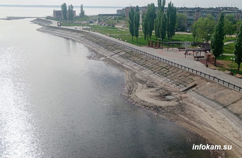    Обнажившиеся берега реки Камышинки и камышинский островок