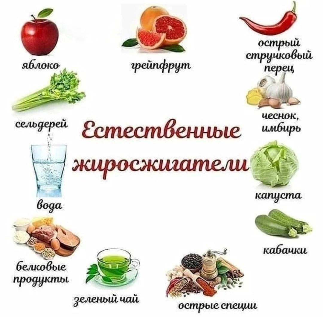 Продукты сжигающие жир. Продукты для похудения. Жиросжигающие продукты. Продукты сжига.щие жир.