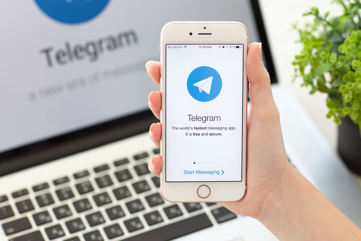 Telegram заблокировал несколько ботов СБУ и ГУР | RuNews24.ru | Дзен