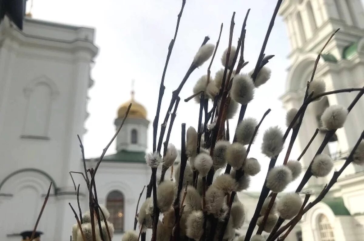 На Дону отметили Вербное воскресенье и вступили в страстную седьмицу | АиФ  Ростов | Дзен