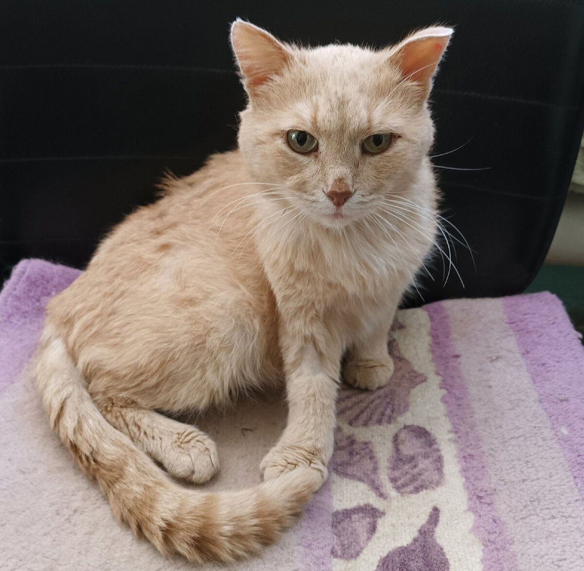 Фёдор бодренький, когда его получает лечение по режиму