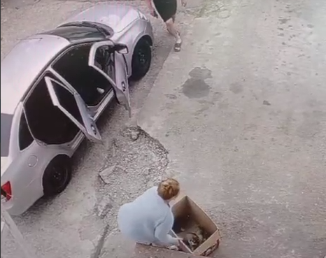    фото: телеграм-канал Sochi Today