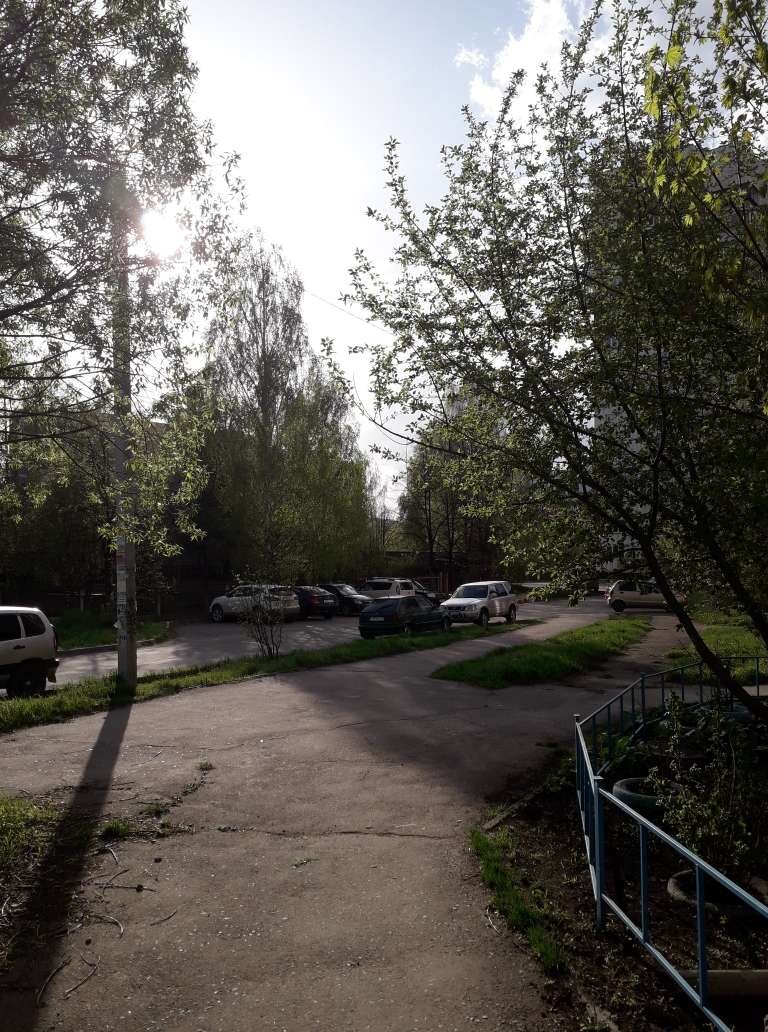 28.04.2024 г. Деревья уже зазеленели. Фотография из личного архива.