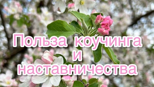 Польза коучинга и наставничества