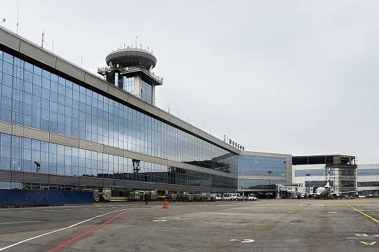    Сотни промокших при потопе в Дубае чемоданов гниют в аэропорту Домодедово
