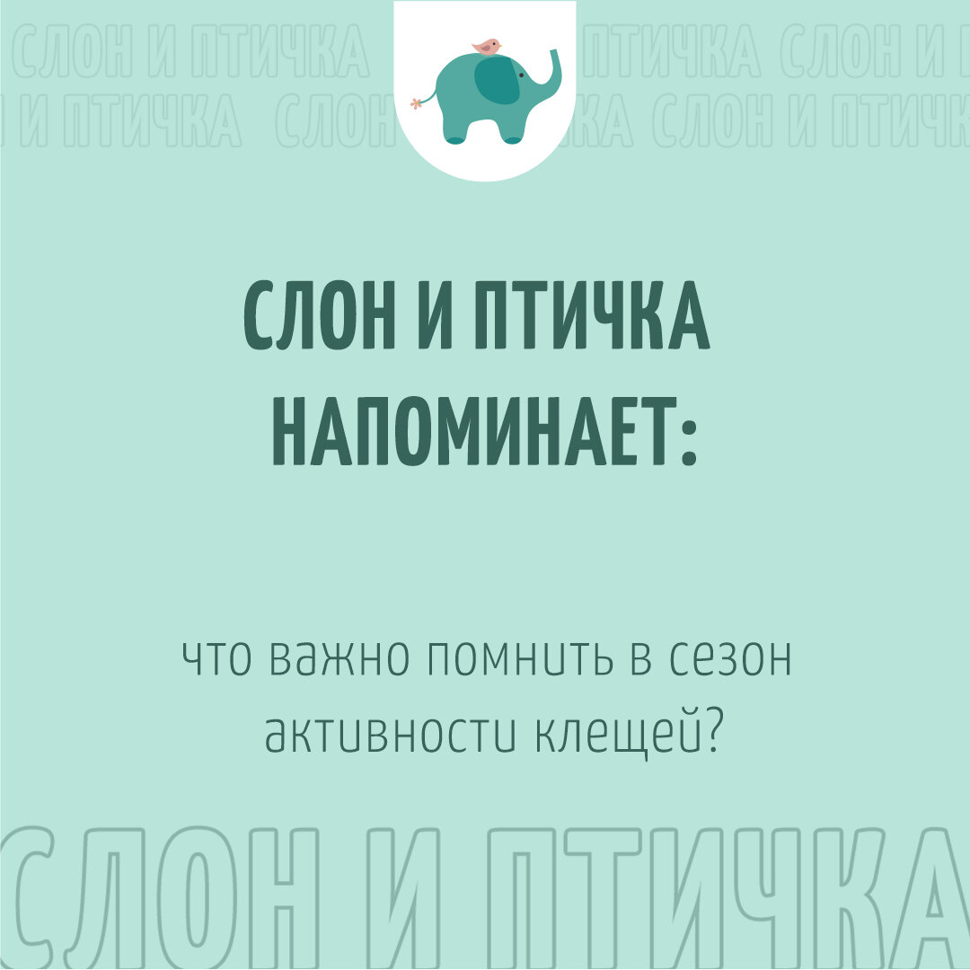 Детский сад Уфа, частный сад Уфа, сезон клещей, клещи 