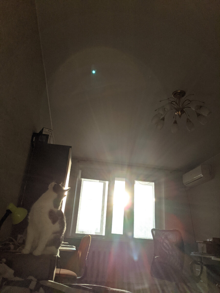 Лучи надежды на светлое будущее. Кадр ещё из съемной квартиры. 