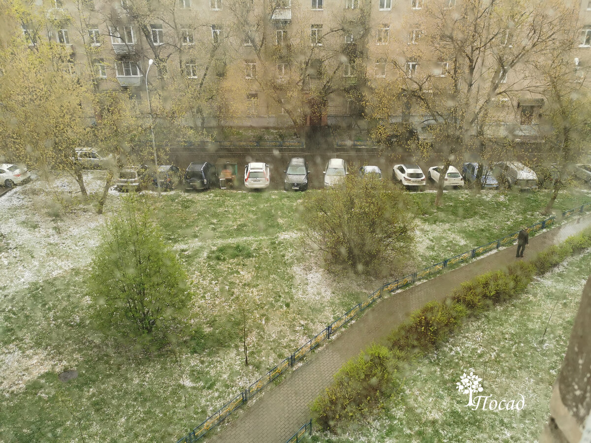4 мая 2022 года в Подмосковье.