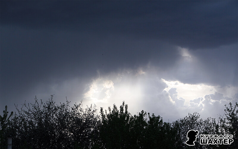 Фото автора. Снимок никакого отношения не имеет к истории, а лишь косвенно иллюстрирует публикацию.