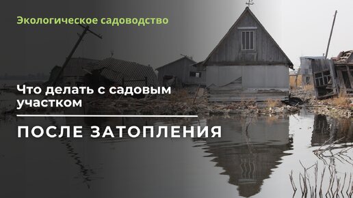 Затопление садового участка - что делать после (видео)?