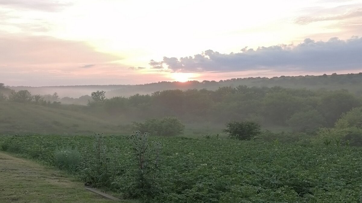 Курск погода летом. Теплая погода в Курске.