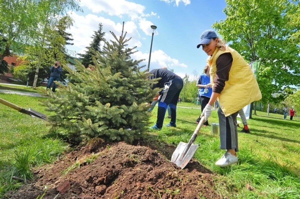    Татарстан примет участие в международной акции памяти павших в Великой Отечественной войне.