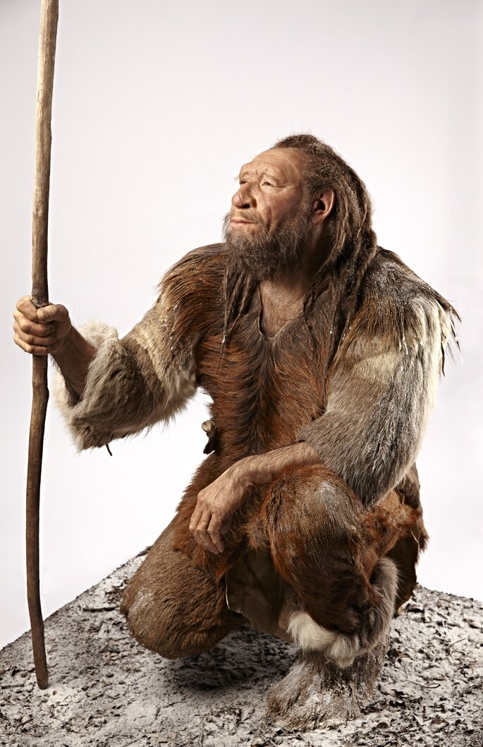 Реконструкция неандертальца от Марселя Ниффенеггера.
