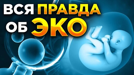 ЭКО: мифы и правда || Что происходит с эмбрионом в лаборатории?