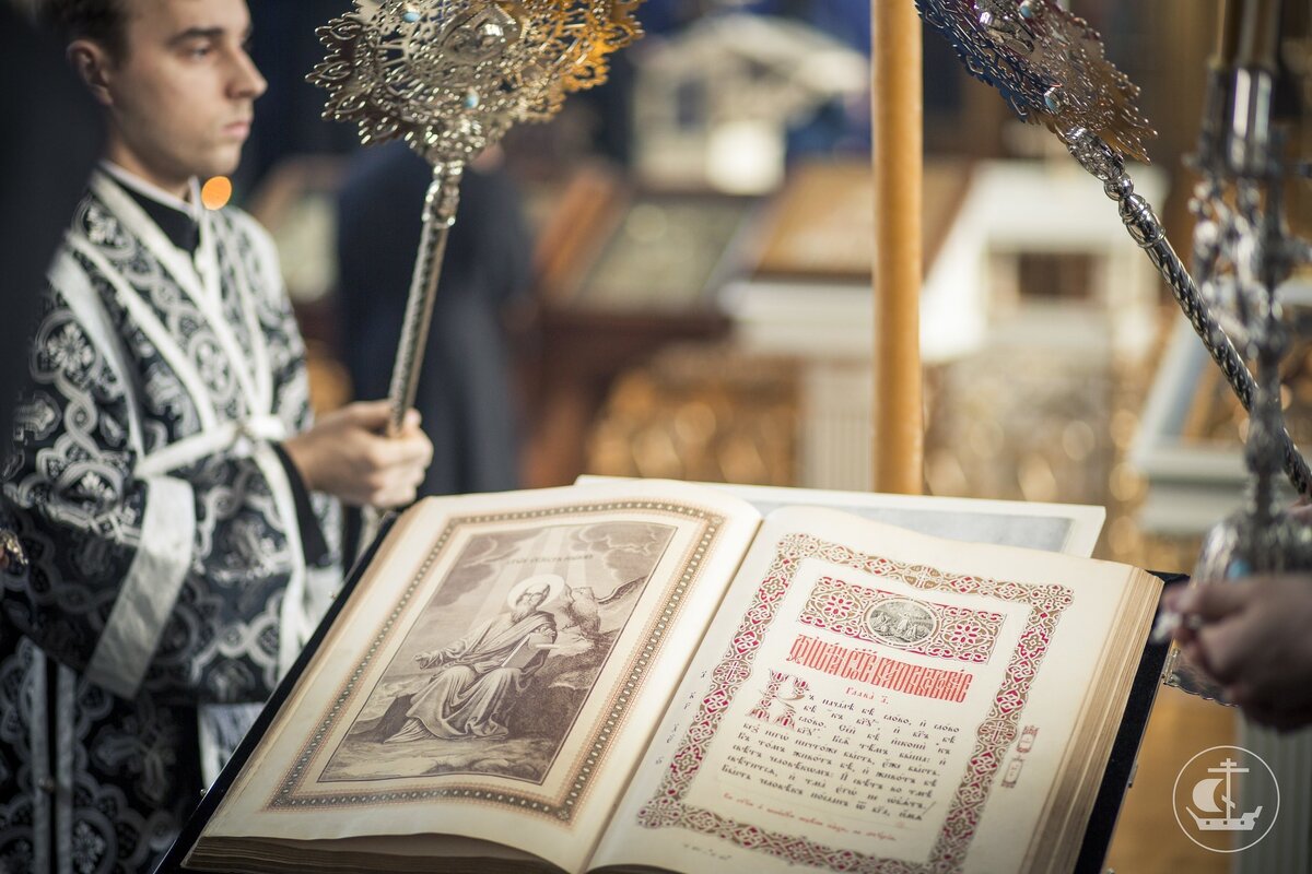 источник фото - spbda.ru