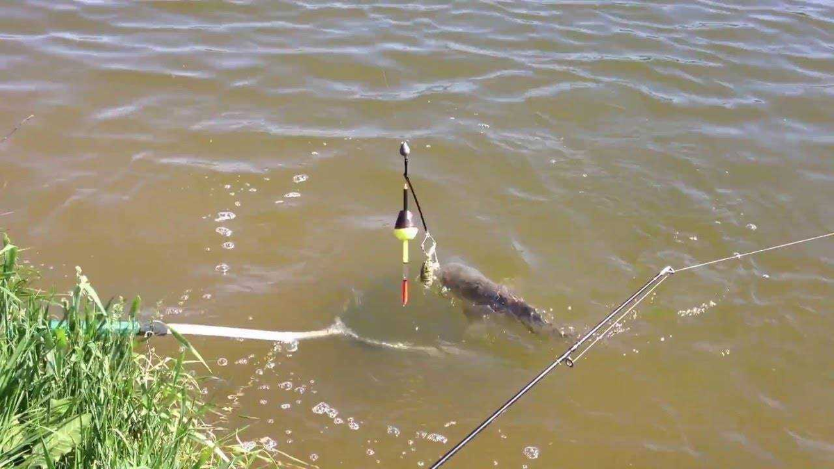 Фото с сайта: https://molkom-kazan.ru