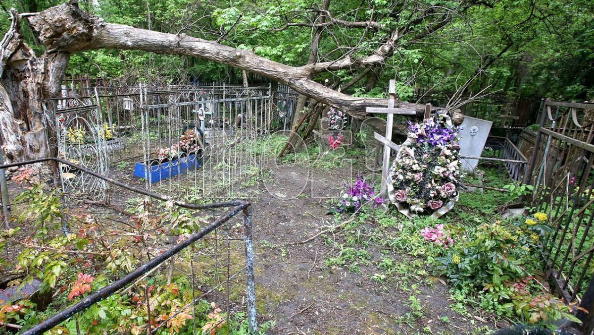    Фото: Игорь Филонов