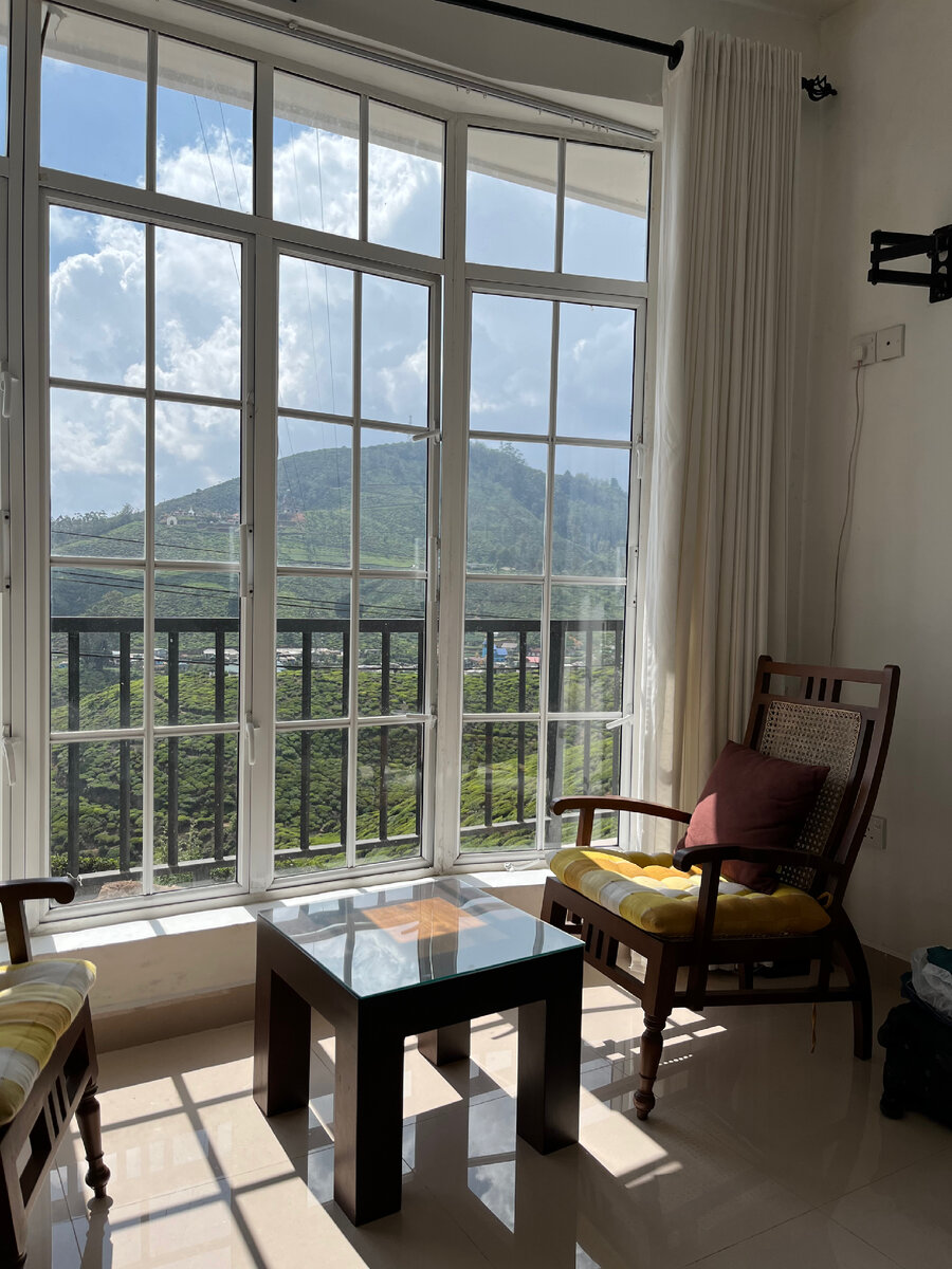 Вид на чайные плантации