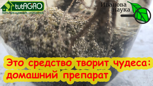 ДОМАШНИЕ БИОПРЕПАРАТЫ: без ЗАКВАСОК, без УДОБРЕНИЙ и без СТЕРИЛИЗАЦИИ. Делаем домашние биоудобрения. Вместо синтетики используйте ЭТО.