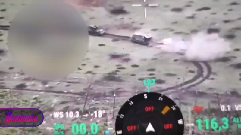    Фото: скриншот Telegram/Readovka