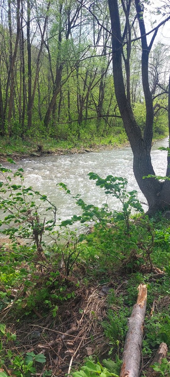 Река Большой Кургаш