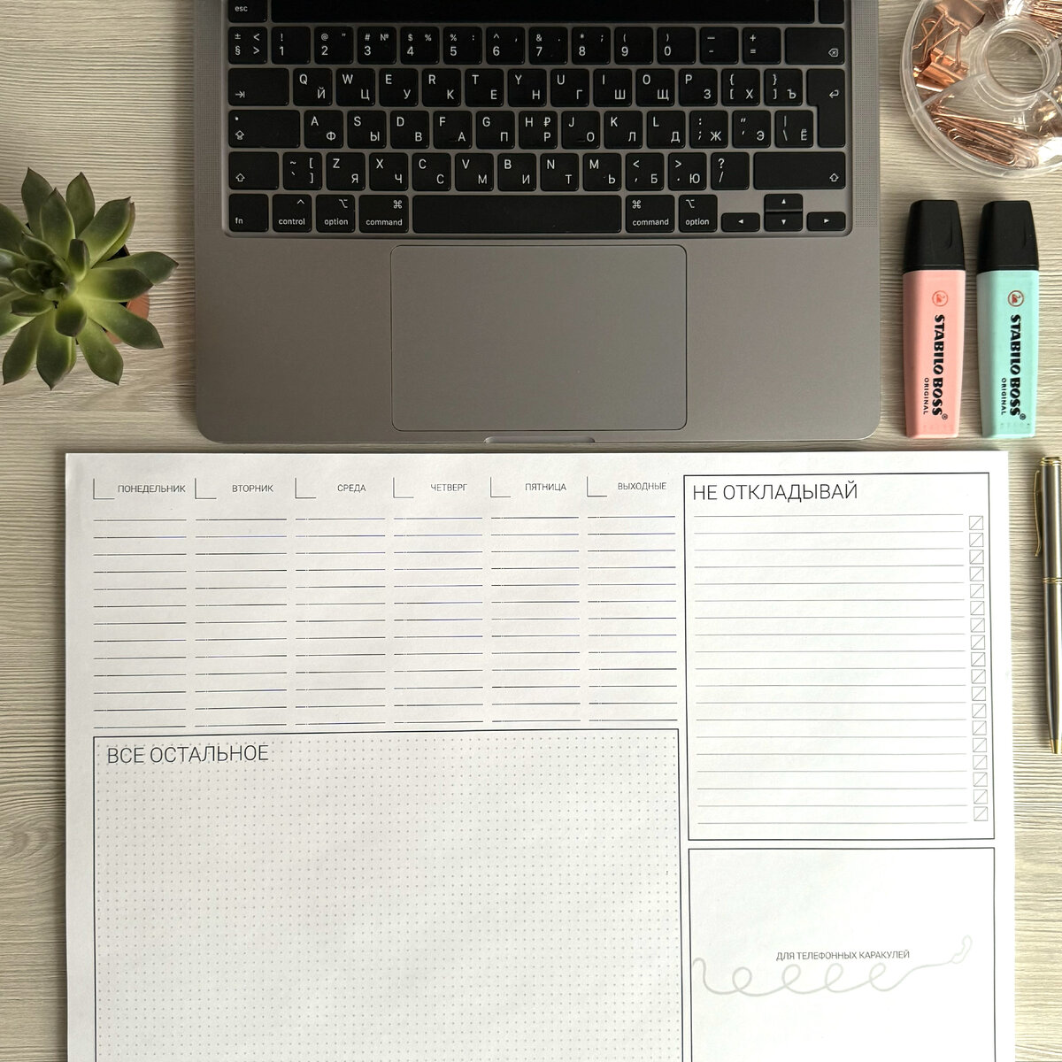 Один зеленый элемент как суккулент преображает рабочее пространство