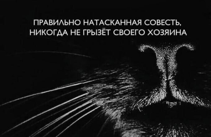 Скриншот. Использовано изображение из интернет в свободном доступе.