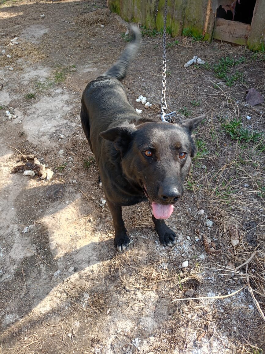 Фото автора. Альманах рада нас видеть.