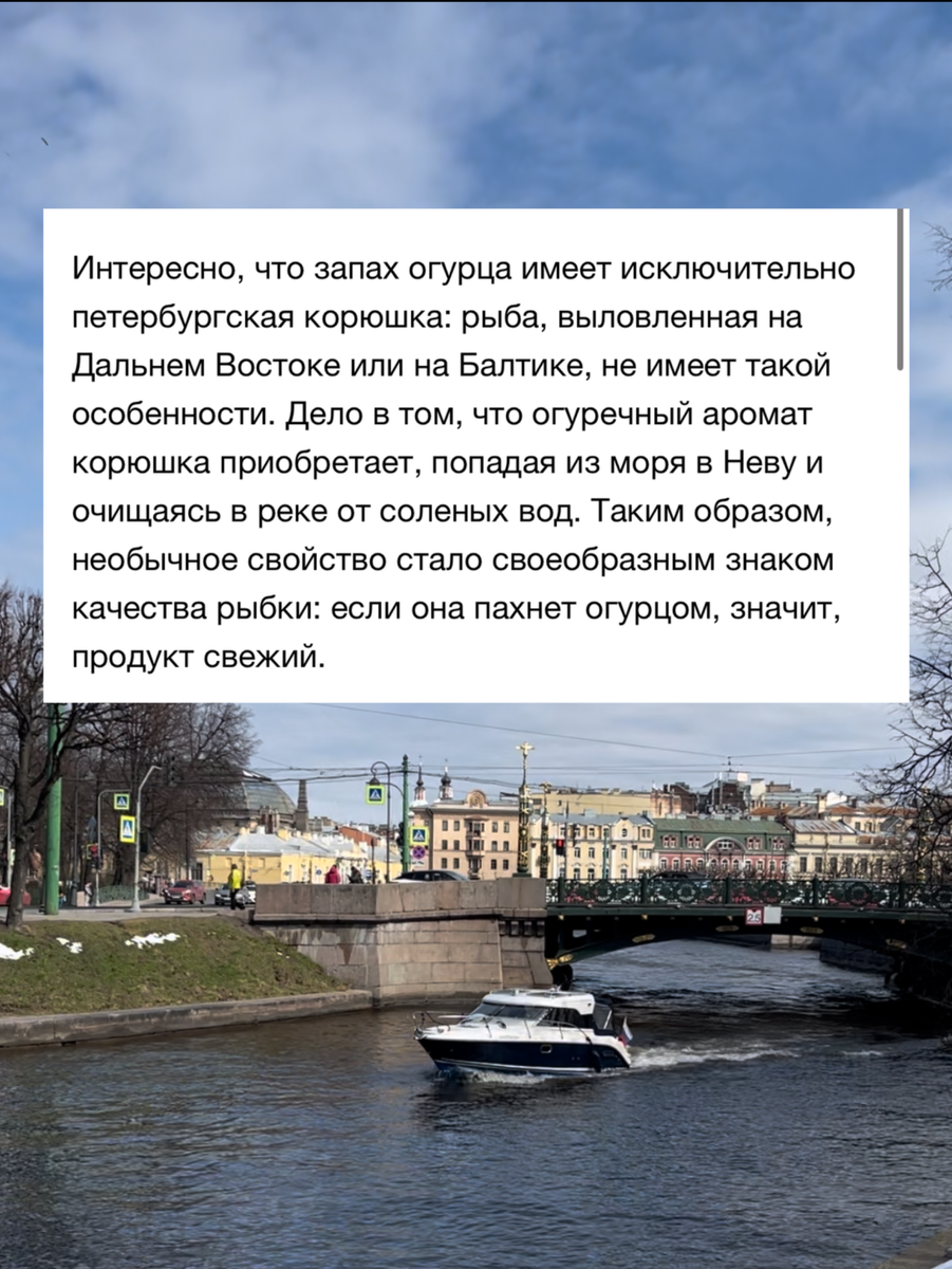 Блюдо, которое обязательно нужно отведать весной в Питере | Неваляшка | Дзен