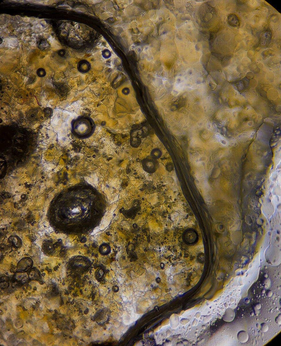 Куриные наггетсы под микроскопом