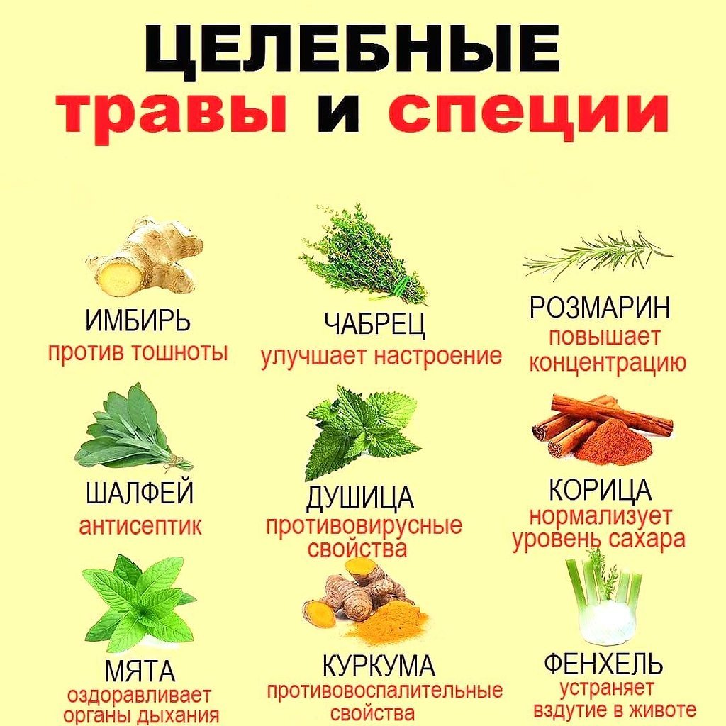 Славянский букет лечебных трав от бабы Травкиной Крамола Здоровье. Постила